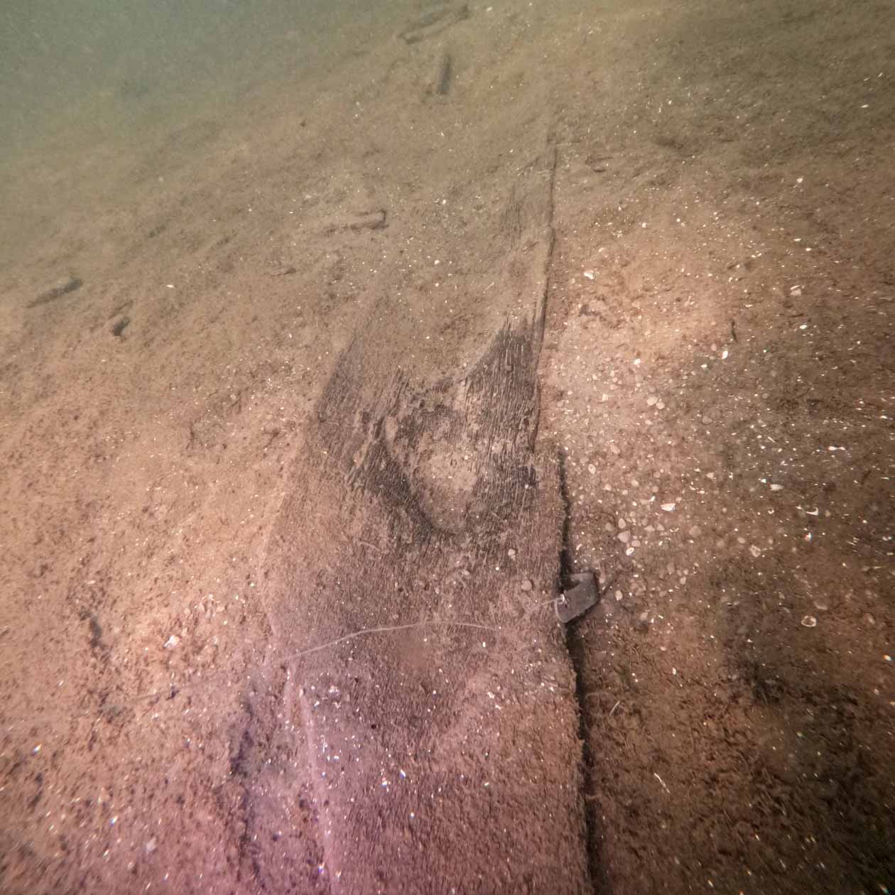 A canoe underwater in lake Mendota