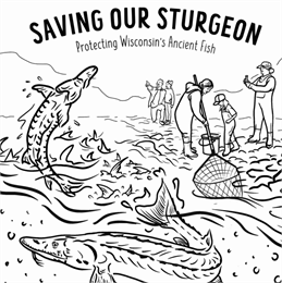 Coloring page activity for Saving Our Sturgeon