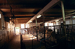 University of Wisconsin Dairy Barn, a Building.