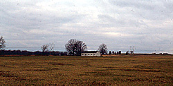 Larson Brothers Airport, a District.