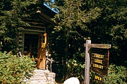 Forest Lodge Library, a Building.