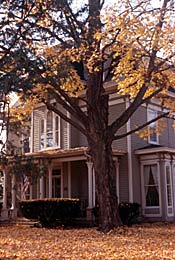 Mumbrue-Penney House, a Building.