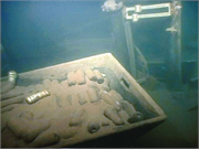 Thomas Friant Shipwreck (gill net tug), a Site.