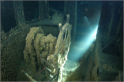 Robert C. Pringle Shipwreck (Tug), a Site.