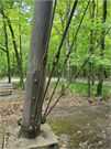 Potawatomi State Park Observation Tower, a Structure.
