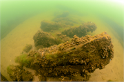 Sidney O Neff Shipwreck (steambarge), a Site.