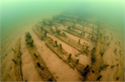 Sidney O Neff Shipwreck (steambarge), a Site.