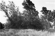 Drohman Cabin, a Building.
