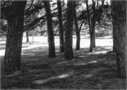 Library Park, a Site.