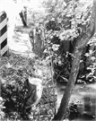 Wakely Road Bridge, a Structure.