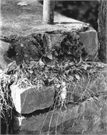 Wakely Road Bridge, a Structure.