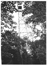 Fifield Fire Lookout Tower, a Structure.