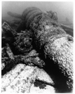 Kate Kelly Shipwreck, a Site.
