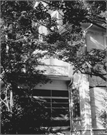Roddis, Hamilton and Catherine, House, a Building.