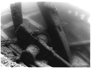 Lumberman Shipwreck, a Site.