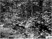 Brule-St. Croix Portage, a Site.