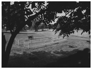 Peshtigo Fire Cemetery, a Site.