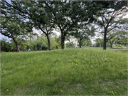Willow Drive Mounds and Habitation Site Complex, a Site.