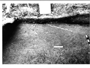 Hulburt Creek Garden Beds, a District.