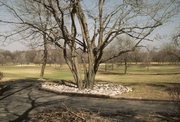 Menomonee Golf Club, a Building.