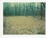Barron County Pipestone Quarry, a Site.