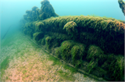 Appomattox Shipwreck (Second boundary expansion and additional information), a Site.