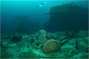 Lakeland Shipwreck (Steam Screw), a Site.