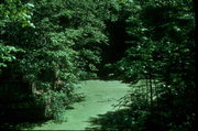 Bass Island Brownstone Company Quarry, a Site.