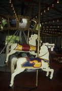 City of Waterloo Carousel, a Structure.