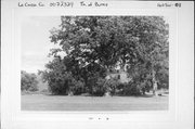 STH 162, .5 MILE S OF CTH B, W440 STH 162, a Gabled Ell house, built in Bangor, Wisconsin in 1880.