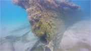 Atlanta Shipwreck (Steam Screw), a Site.