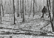 Calumet County Park Group, a Site.