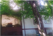 1908 ARLINGTON PL, a English Revival Styles house, built in Madison, Wisconsin in 1902.