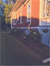 305 N MAPLE ST, a Colonial Revival/Georgian Revival house, built in Black Creek, Wisconsin in 1909.