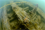 Advance Shipwreck (Barge), a Site.