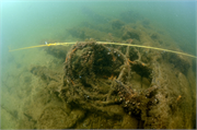 Advance Shipwreck (Barge), a Site.