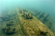 Montgomery Shipwreck (schooner), a Site.