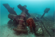 I.A. Johnson Shipwreck (Scow Schooner), a Site.