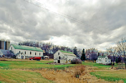 Freitag Homestead, a Building.