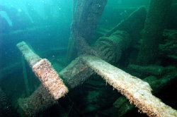 Lumberman Shipwreck, a Site.