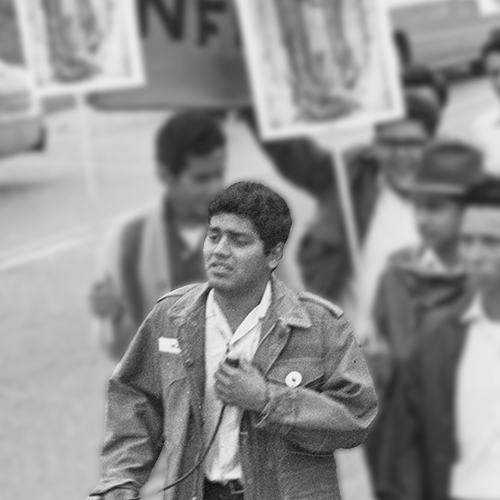 Jesus Salas, leader of Obreros Unidos (United Workers), Wisconsin's migrant farm worker union looks away from the camera and down, completely in profile his expression serious. En Espanol: Jesús Salas, líder de Obreros Unidos, un sindicato para trabajadores emigrantes en Wisconsin. Mira lejos de la cámara y hacia abajo, completamente de perfil su expresión seria