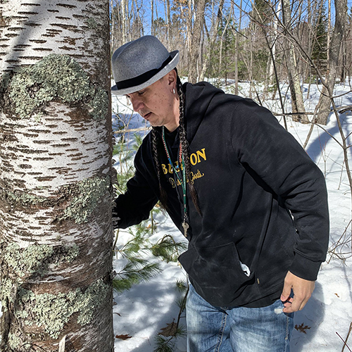 Greg harvesting winter bark