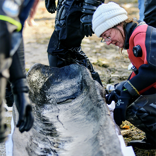 A female preservation specialist examines the canoe once it's on land.