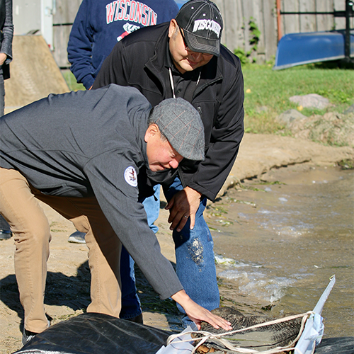 Marlon WhiteEagle and Bill Quackenbush examine the canoe, with Marlon lightly touching the historic hand carved wood.