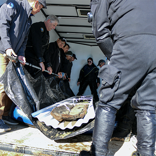 The team carefully places the canoe in the truck for transportion to the State Historic Preservation facility.