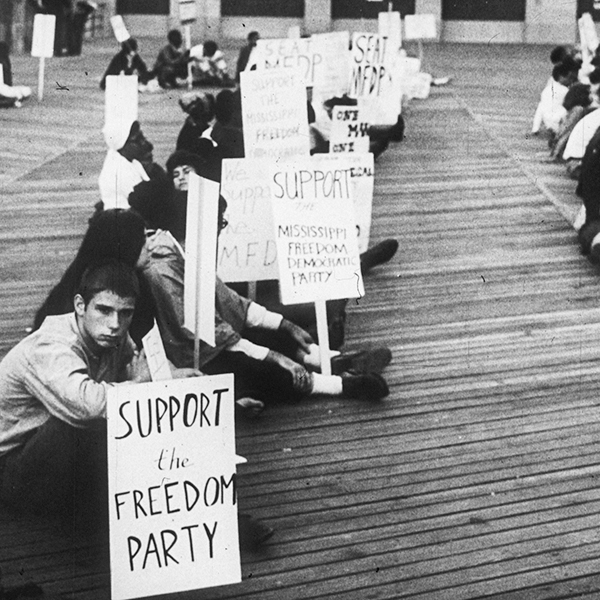 freedom summer freedom summer