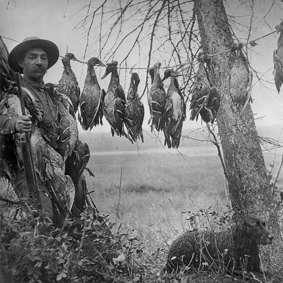 Man holding gun next to a bunch of strung up dead ducks, older black and white photo