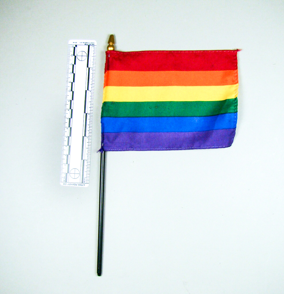 Rainbow flag carried by a protestor at a lecture by Ralph Reed.