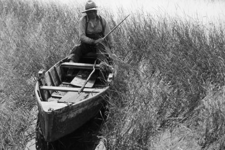 Joe Stoddard of the Chippewa tribe harvesting wild rice on the Bad River Indian Reservation