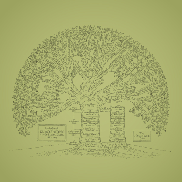 Free Genealogy Webinar, showing an illustrated metaphor of a family tree (aka it's a tree)